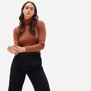 Everlane Super-soft Turtleneck Bodysuit in Copper Color